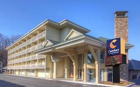 Comfort Inn & Suites At Dollywood Lane